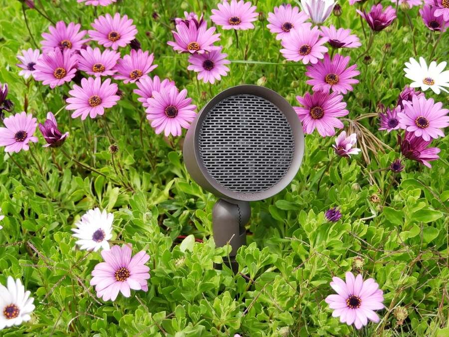 An outdoor speaker is installed in the middle of a flower bed.