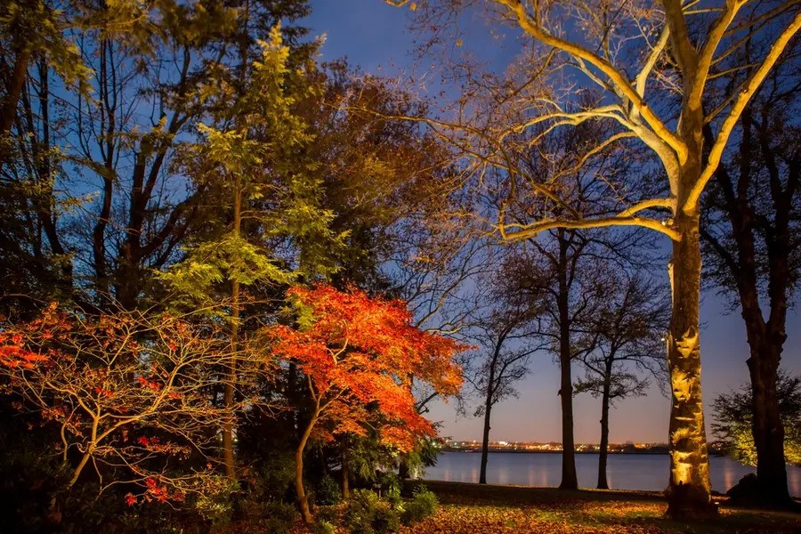 Trees are highlighted by Coastal Source bullet lights. 