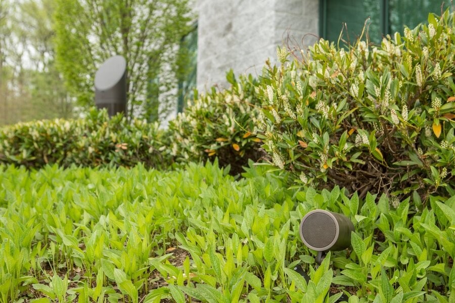 Backyard foliage featuring two Coastal Source outdoor speakers as part of an outdoor speaker system.